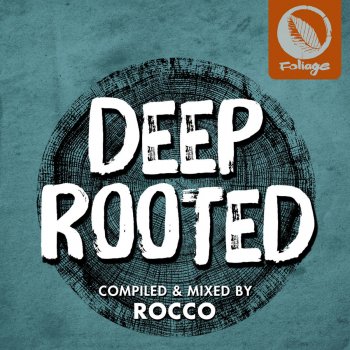 Nathan Haines feat. Verna Francis Earth Is the Place (Rocco Rodamaal Deep Mix)