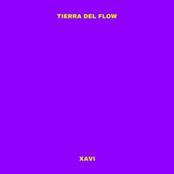 Xavi Tierra del Flow