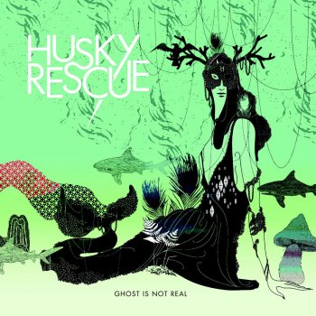 Husky Rescue Shadow Run