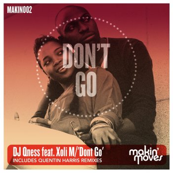 DJ Qness Don't Go (Instrumental)