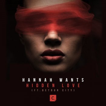 Hannah Wants feat. Detour City Hidden Love