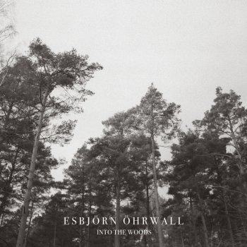 Esbjörn Öhrwall Into The Woods