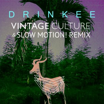 Sofi Tukker feat. Vintage Culture & Slow Motion Drinkee - Vintage Culture & Slow Motion! Remix
