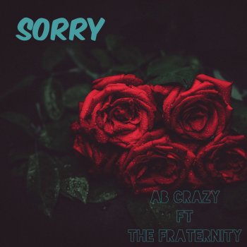 AB Crazy feat. The Fraternity Sorry