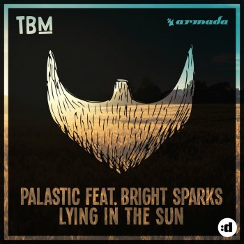 PALASTIC feat. Bright Sparks Lying In the Sun