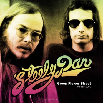 Steely Dan The Fall Of '92 (Live)