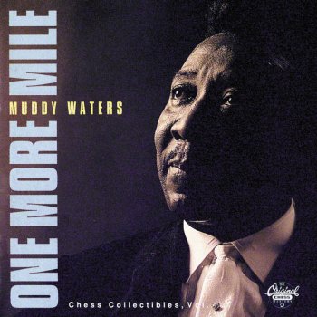 Muddy Waters I Want To Be Loved - Edit