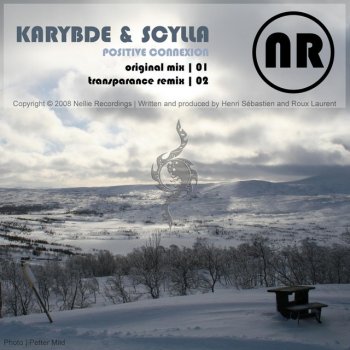 Scylla feat. Karybde Positive Connexion - Transparance Remix