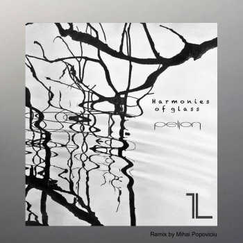 Pellon Harmonies of Glass (Mihai Popoviciu Remix)