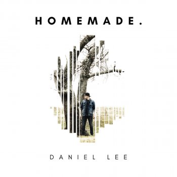 Daniel Lee Somewhere in the Woods