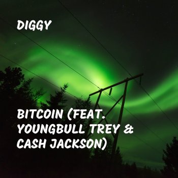 Diggy Bitcoin (feat. Youngbull Trey & Cash Jackson)