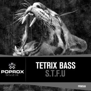 Tetrix Bass S.T.F.U - Original Mix