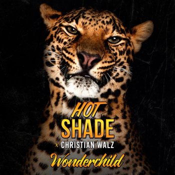 Hot Shade feat. Christian Walz Wonderchild
