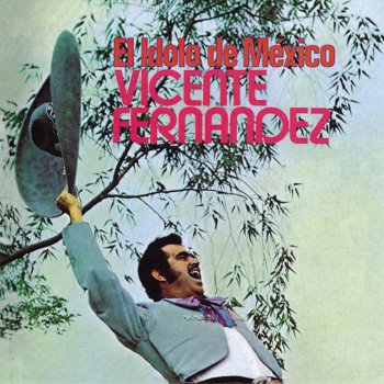 Vicente Fernández Amor Indio