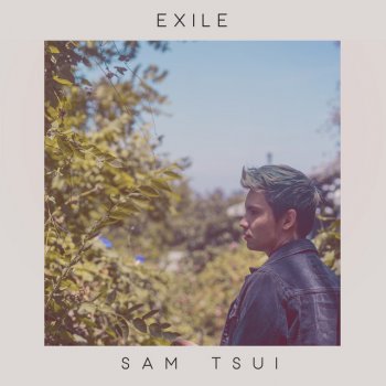 Sam Tsui exile - Acoustic