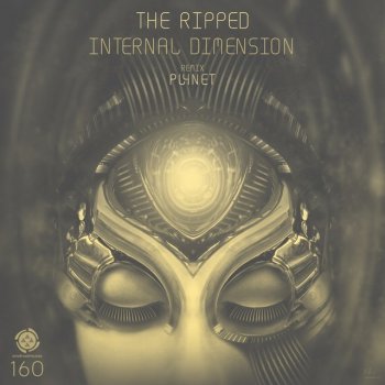 The Ripped Internal Dimension (Pl4net Remix)