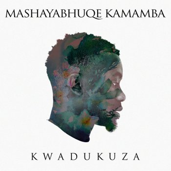 Mashayabhuqe KaMamba KwaDukuza