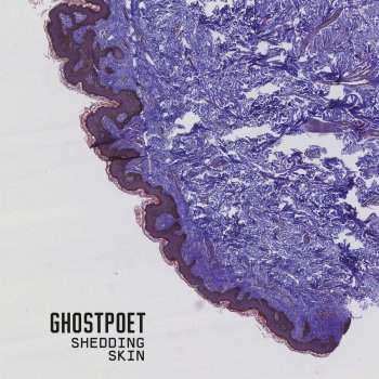 Ghostpoet feat. Melanie De Biasio Shedding Skin (feat. Melanie De Biasio)