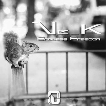 Nek Endless Freedom - Original Mix