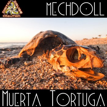 MechDoll Tortuga