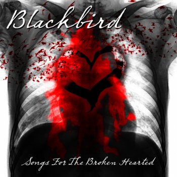Blackbird Living Alone