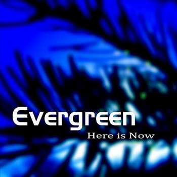 Evergreen Caught Between