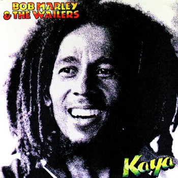 Bob Marley feat. The Wailers Is This Love