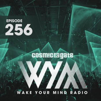 Cosmic Gate & Foret Need to Feel Loved (Wym256)
