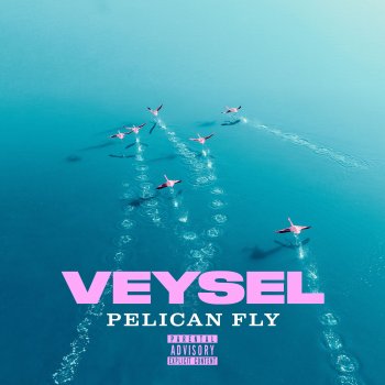 Veysel feat. Miksu / Macloud PELICAN FLY