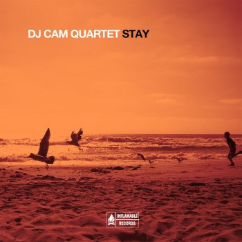 DJ Cam Quartet The Look of Love