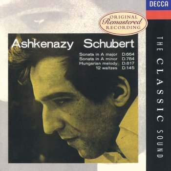 Franz Schubert feat. Vladimir Ashkenazy Piano Sonata No.13 in A, D.664: 2. Andante