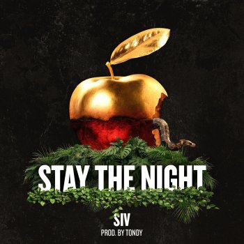 SIV Stay the Night