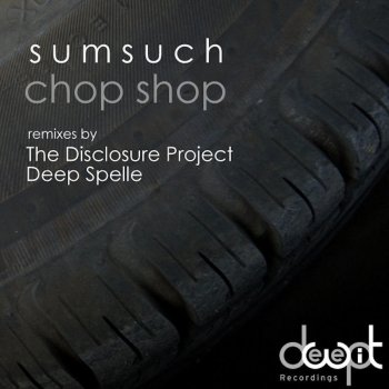 SumSuch Chop Shop (The Disclosure Project Remix)