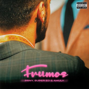 PRNY feat. Super Ed & Amuly Frumos