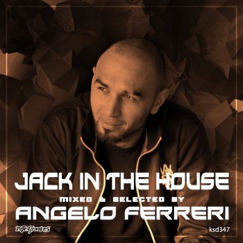 Dennis Ferrer feat. Angelo Ferreri Touched The Sky - Angelo Ferreri Remix (Mixed)