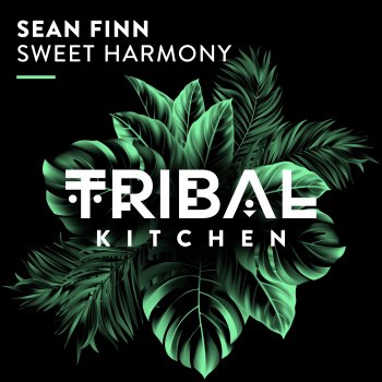 Sean Finn Sweet Harmony (Extended Mix)