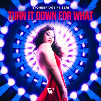 StoneBridge feat. SERi Turn It Down for What (StoneBridge & Damien Hall Ibiza Radio)
