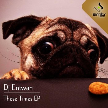 DJ Entwan Stroke the Door