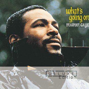 Marvin Gaye What's Going On - Live At The Kennedy Center Auditorium, Washington, D.C. / 1972