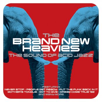 The Brand New Heavies feat. N'Dea Davenport Never Stop (Morales Mix)
