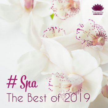 Tranquility Spa Universe # Spa: The Best Of 2019