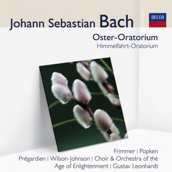 Johann Sebastian Bach feat. Christoph Prégardien, Orchestra of the Age of Enlightenment & Gustav Leonhardt Lobet Gott in seinen Reichen, BWV 11 (Ascension Oratorio): 7. Rezitativ: "Sie aber beteten ihn an"