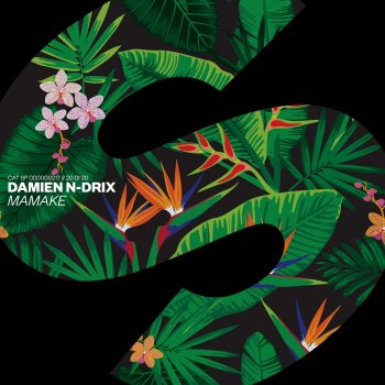 Damien N-Drix Mamake (Extended Mix)
