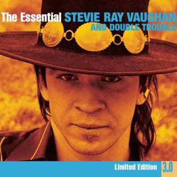 Stevie Ray Vaughan And Double Trouble Honey Bee