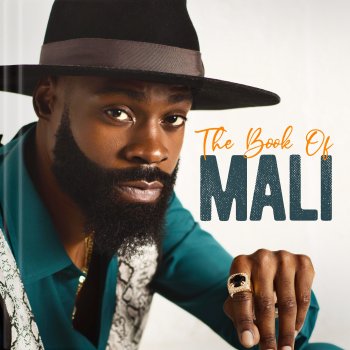 Mali Music Mo'Lo (Like You)