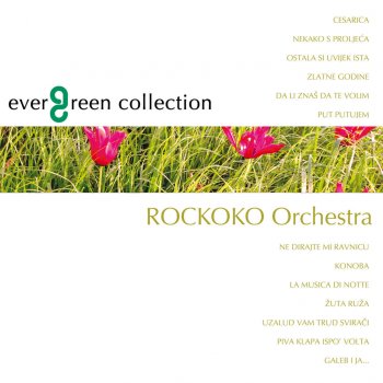 Rockoko Orchestra Žuta Ruža
