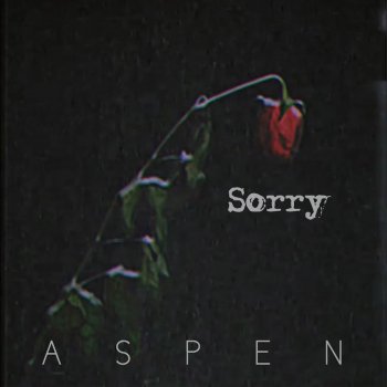 Aspen Sorry