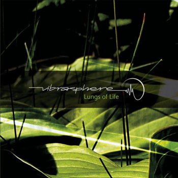 Vibrasphere Erosion - Glenn Morrison & Bruce Aisher remix
