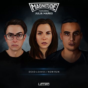 Magnetude feat. Julia Marks Dead Leaves