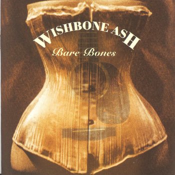 Wishbone Ash You Won't Take Me Down
